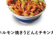 かつや来たけど「焼きうどん丼」があってびっくりした