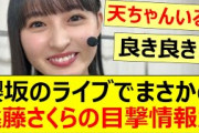 櫻坂のライブでまさかの遠藤さくらの目撃情報が!!【乃木坂46・櫻坂46・山崎天】