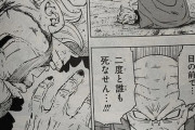 漫画「ドラゴンボール超」最新19巻予約開始！8月4日発売！！！