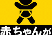 「赤ちゃんが乗ってます」ステッカーの意味