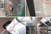 外国人「渋谷のコンビニでネズミが大量発生してる映像をご覧ください…」