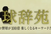 お前らが「球辞苑」を見なくなった理由ｗｗｗｗｗ
