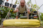 世界一大きな野菜を育てるおじいさん 45kgを超えるズッキーニも！? 海外の反応