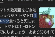 【悲報】トマト、食べすぎると有毒だったことが判明