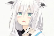 Vtuber 【白上フブキ】結局親方悪いんじゃんｗｗｗｗｗｗ