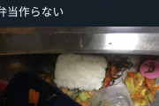 【悲報】女さん「せっかく弁当作ったのに旦那がラーメン食ってきた。二度と弁当作ってあげない」