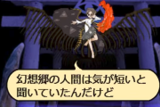 【東方】幻想郷の人間は気が短い