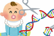 ”遺伝子操作”して産まれてくる子供を完璧超人にする実験が実行されてしまうｗｗｗｗｗｗ