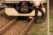 【動画】女の子、電車に轢かれそうになってしまう