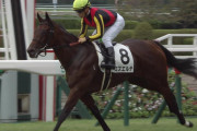 【競馬】ミスエルテ引退　12戦2勝