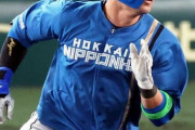【野球】球宴ファン投票で異常事態「もう日本ハムオールスター」 9部門“独占”が「えげつない」