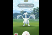 【ポケモンGO】レシラムレイド感想まとめ　ゲッチャレめっちゃ遠い！→近く…なった？