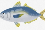 青魚の中でアジだけ「格」が違うよな