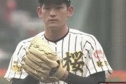 【悲報】今大会の甲子園ガチで試合を消化出来なさそう
