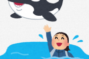 水族館に就職してシャチと一緒に泳ぐのって冷静に考えたら頭おかしいな