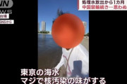 在日中国人が東京湾の水を口に含んで吐き出す「東京の海水は核汚染の味がする」