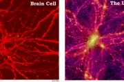 宇宙と脳の構造って似てるらしいから、宇宙って生物の脳細胞なんじゃない？