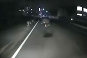 【動画】これはひどい。道路ド真ん中の放置車両に突っ込んでしまうドラレコ。