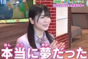 【日向坂46】丹生ちゃんがすっかり外仕事のエースになってきている件