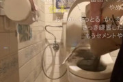 親に怒られたニコ生主「イライラする…せや、自宅のトイレにセメントを流し込んでストレス発散したろ」 → ヤバイことになる・・・