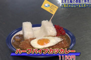 【朗報】ハーフパイプカツカレー（１１５０円）、大好評