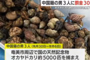 【判決】天然記念物オカヤドカリ約5000匹（1億円分）を捕獲　中国籍の男３人に罰金30万円の略式命令