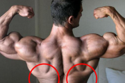 脇の下の筋肉つけるのってどうすればいいの（大円筋？）