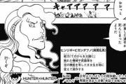 【悲報】ハンターハンターさん、めでたく連載再開するも誰も内容を覚えてない。。。