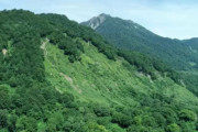 【雨飾山】一人で入山し、けがをして動けなかった男性(70)を救助