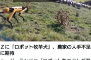 ニュージーランドに「ロボット牧羊犬」が登場
