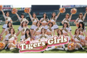 阪神タイガース公式チアガールが中年男性に「恋愛匂わせ貢がせ」行為で金銭トラブルに発展