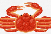 蟹という『全身硬い殻に覆われハサミまで持ち中には極上の身とミソがパンパンに詰まってる』謎の生き物
