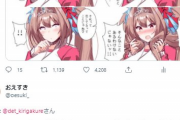 【画像】絵師「ウマ娘描いた」ウマオタ「二次創作はやめろ」絵師「ウマ娘のＨ絵を描いた」ウマオタ「・・・」