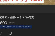 【画像】メルカリにとんでもない物が売りに出される。一体何に使うんだ…