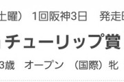 「え？G2なの？G3だと思ってた」ってレース