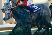 「引退レースが泣けた歴代競走馬ランキング」発表される