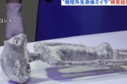 「地球外生命体」のミイラは偽物、ペルー政府が見解！