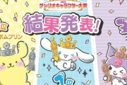 【朗報】ポムポムプリンさん、サンリオキャラクター大賞で栄光の2位を獲得??