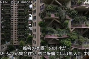 中国｢都会に緑豊かなマンションを建設しました！｣全826室が即満室　蚊｢…｣