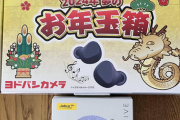 ヨドバシの福袋「2024年 夢のお年玉箱 フルワイヤレスイヤホンの夢（8000円）」届いたぞ