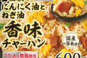 こういう冷凍チャーハン600gで食い足りないんだが食いすぎなの？