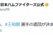【大王退団】ハムファン集合