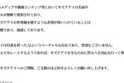 【朗報】コレコレ『ななもりの内縁の妻「キズナアイ」じゃないし不倫相手は「P丸様」かどうか分からなかった』