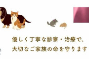 入院中の犬脱走→列車衝突で死亡　動物病院が「重大事故」謝罪「安全管理の重大な過失が招いた惨事」