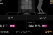 阪神×DeNA 開幕2戦目から早くもバカ試合wwwwww