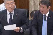 【国会動画】れいわ・伊勢崎氏「朝鮮学校の無償化を！子供に罪はない！」→茂木外相の答弁に再注目集まる