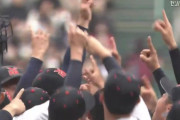 【高校野球】神奈川県黄金時代へ