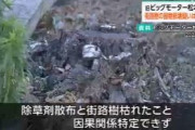 警察「無念だがビッグモーター前の街路樹が枯れた事件の犯人を見つけることは出来なかった。捜査終」