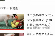 『100日後に食われるブタ』、遂にニュースで取り上げられ登録者1万人突破してしまうWWlWWlWWlWWlWWl