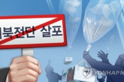 嘘つきの国に本当があるわけない　～　【中央日報】米議会・専門家、対北朝鮮ビラ法を批判「韓国、本当に民主主義なのか」